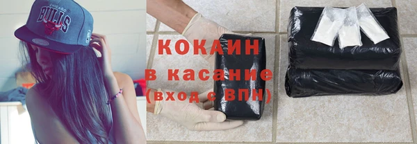 стаф Верея