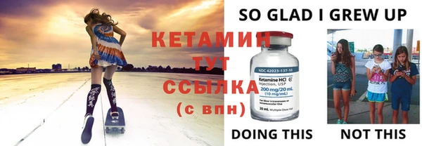 стаф Верея