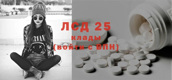стаф Верея