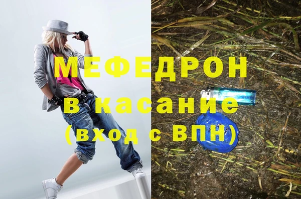 стаф Верея