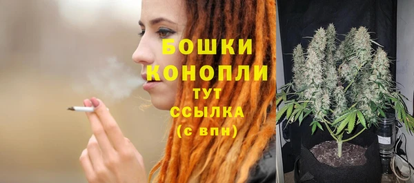 МДПВ Верхний Тагил
