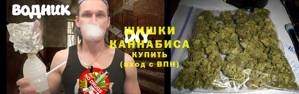 стаф Верея