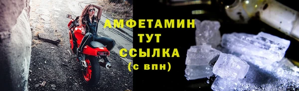 стаф Верея