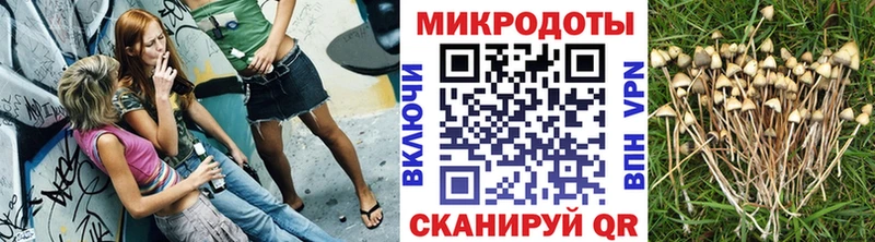купить наркотик  Борзя  Галлюциногенные грибы мухоморы 